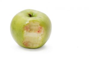 apple isolated with blood bite